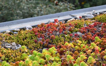 the cost of Tetsworth green roof installation